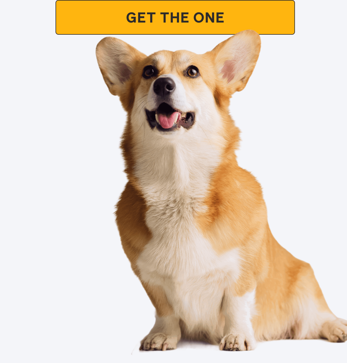 Get The One