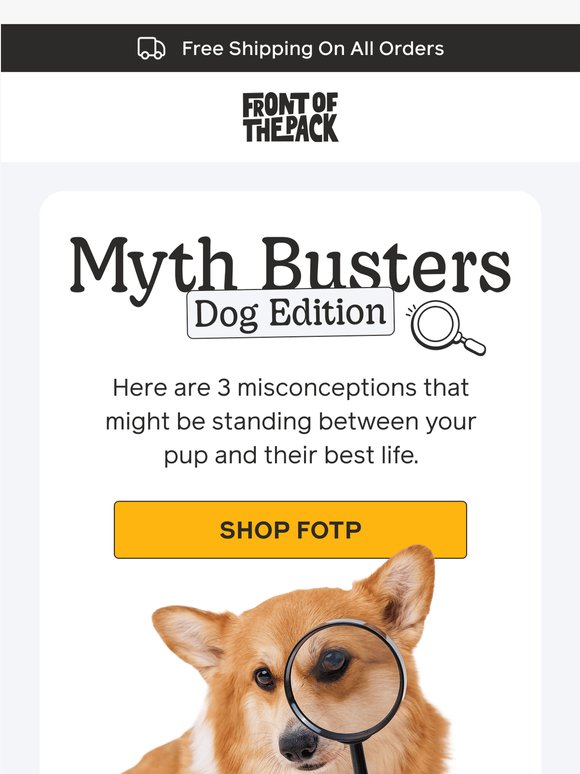 3 wellness myths dog parents still believe