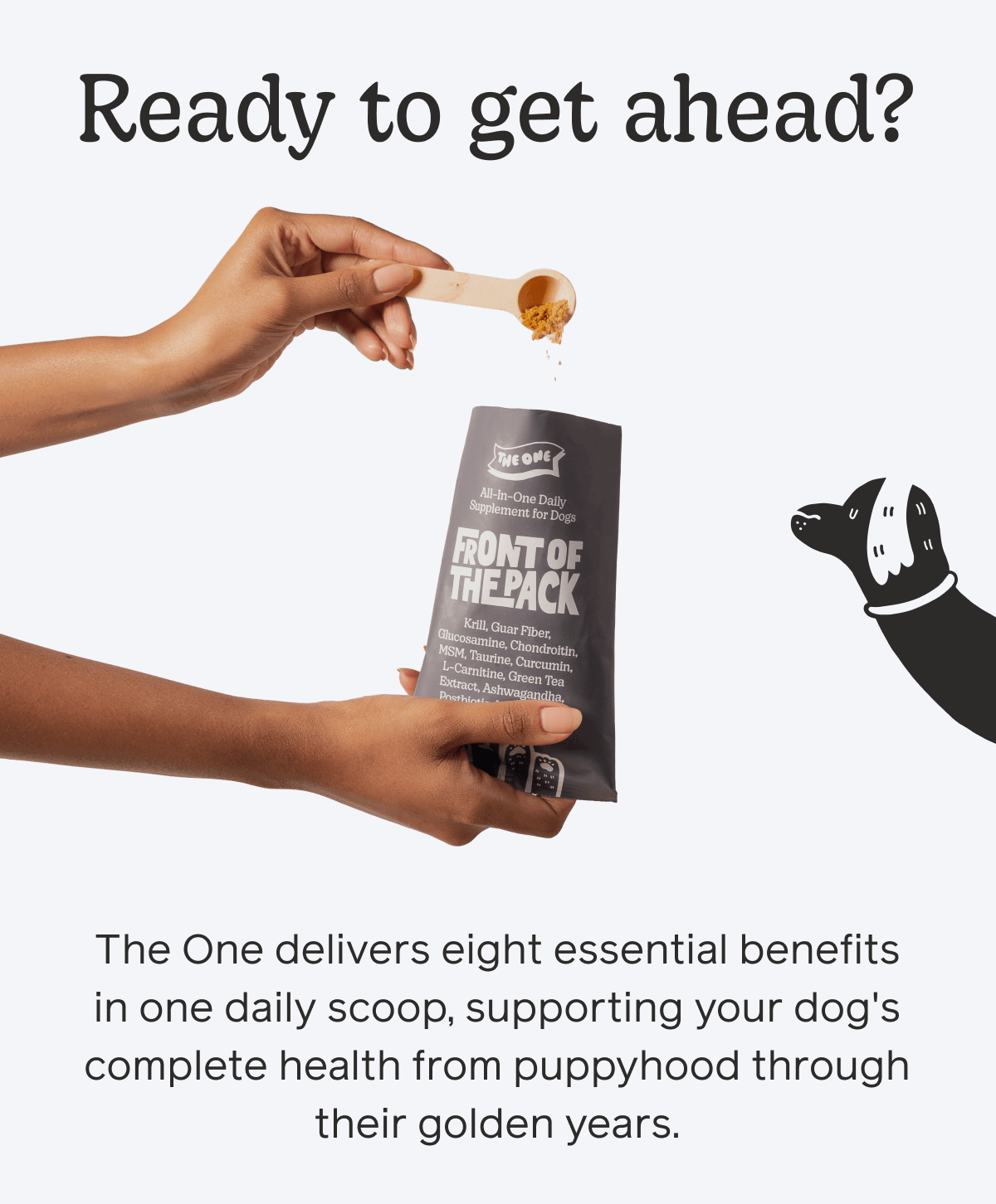 Ready to get ahead?
