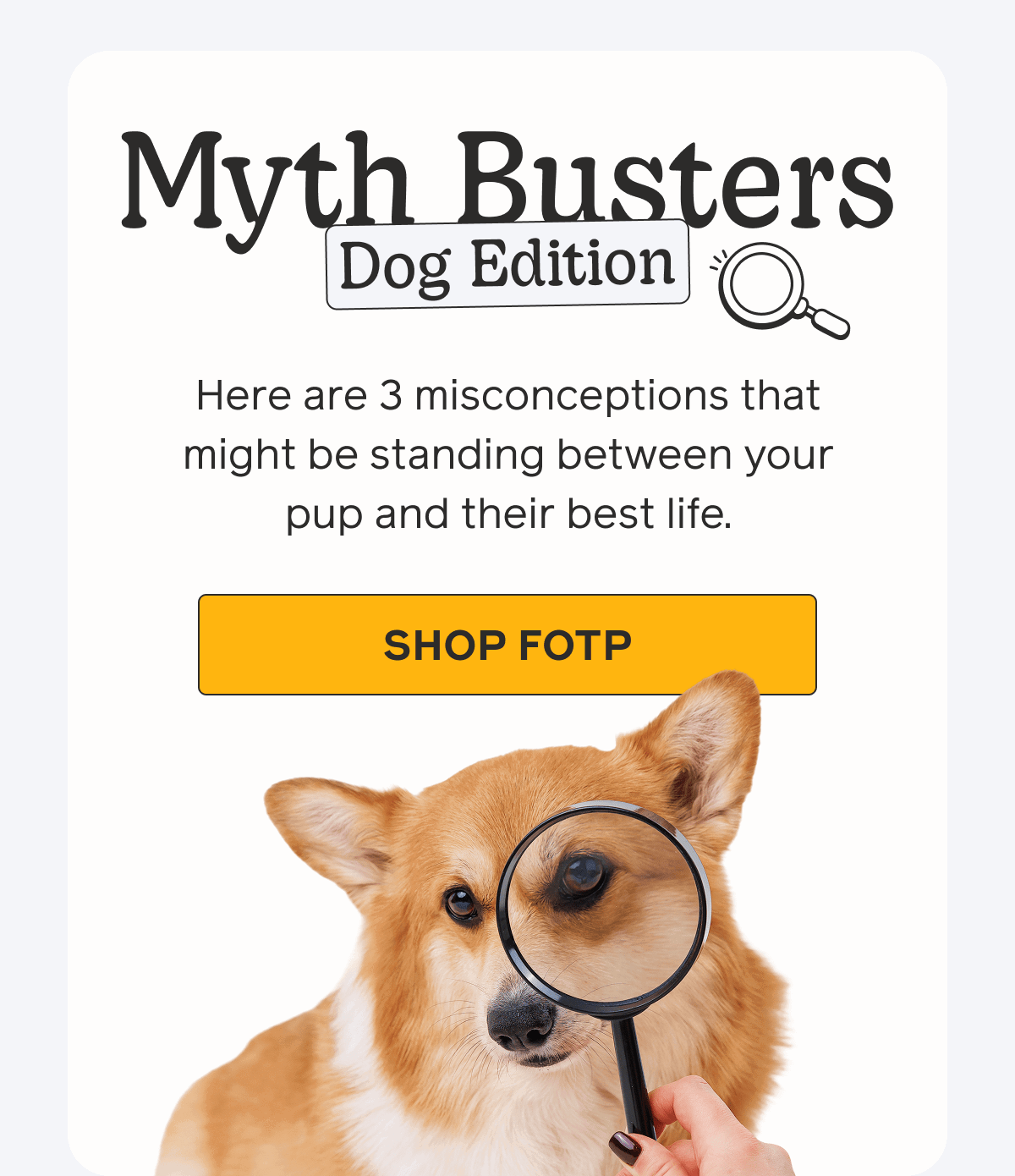 Myth Busters Dog Edition