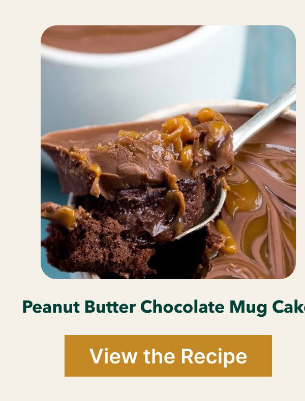 Peanut Butter Chocolate Mug Cake [View the Recipe]