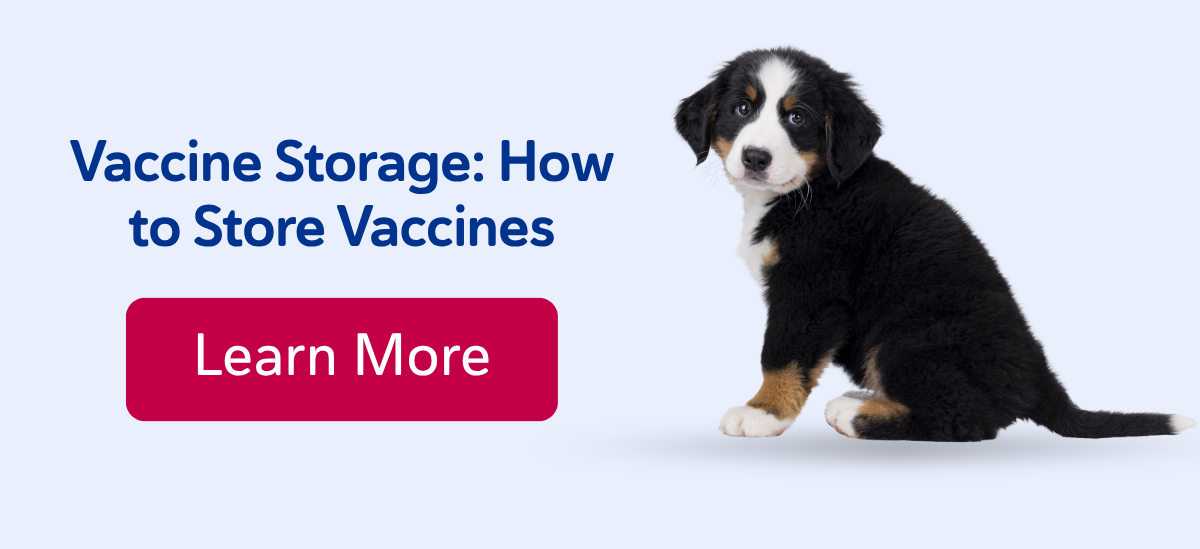 Vaccine Storage: How to Store Vaccines