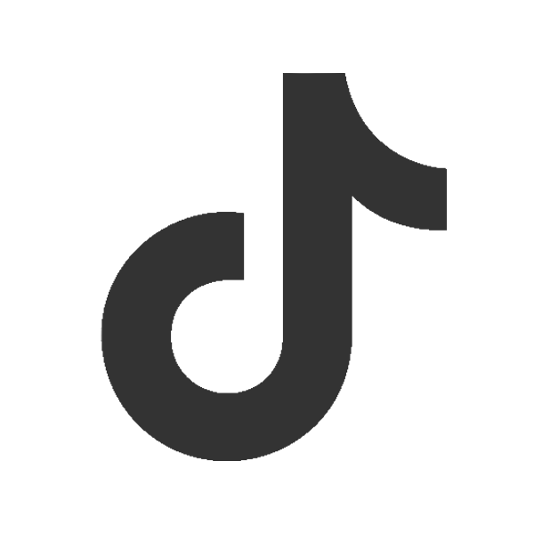 Tiktok logo image