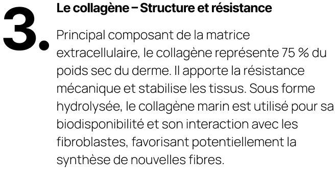 Le collagène