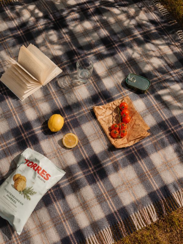 Recycled Wool Picnic Blanket  Bannockbane Silver Tartan