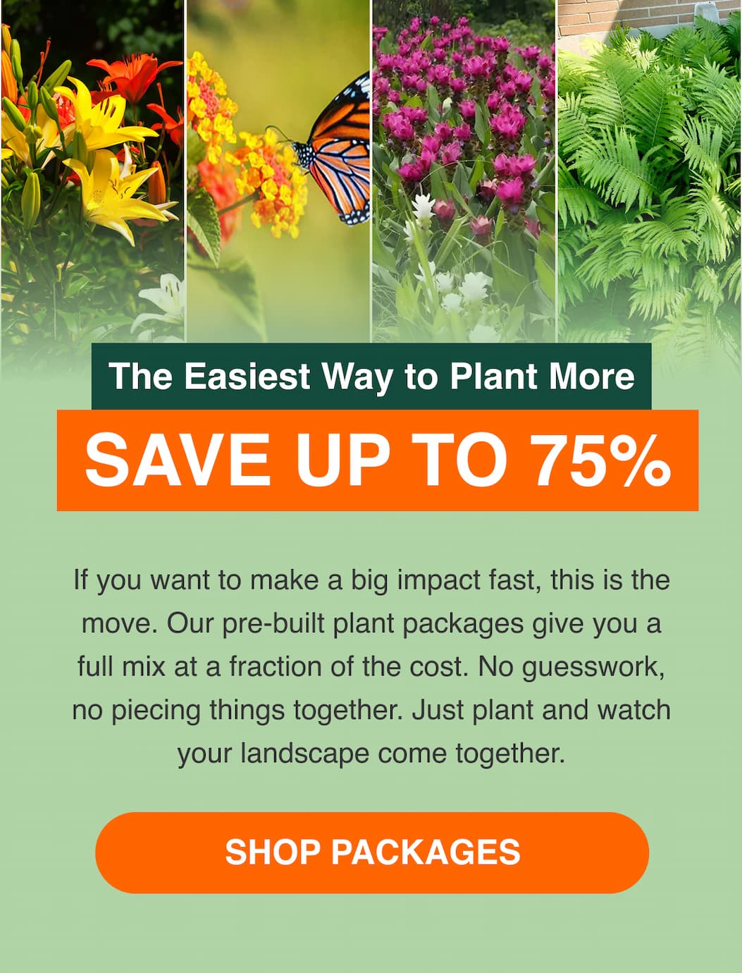 Package Deals - Up to 75% Off