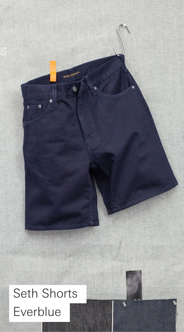 Seth Shorts Everblue