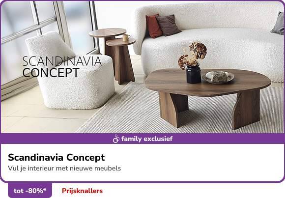 Shop Scandinavia Concept