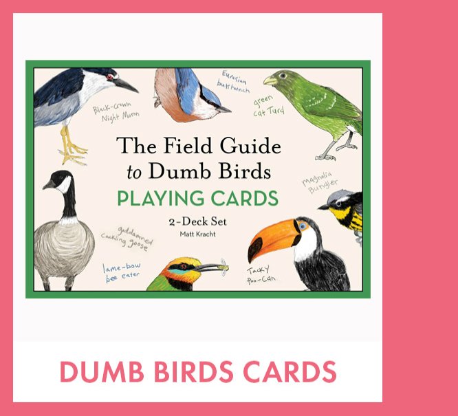 The Field Guide to Dumb Birds
