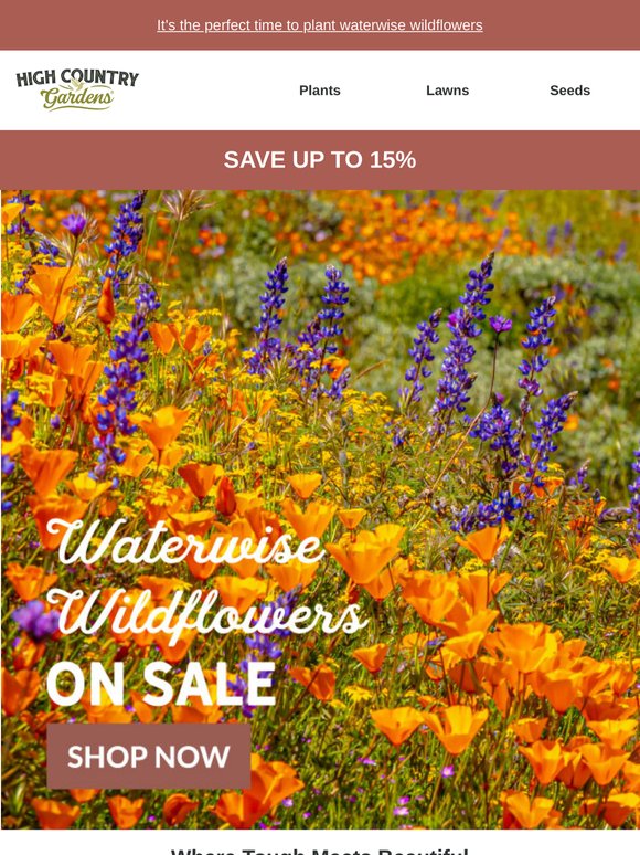 Weekend Sale: Waterwise Wildflowers Up To 15% Off