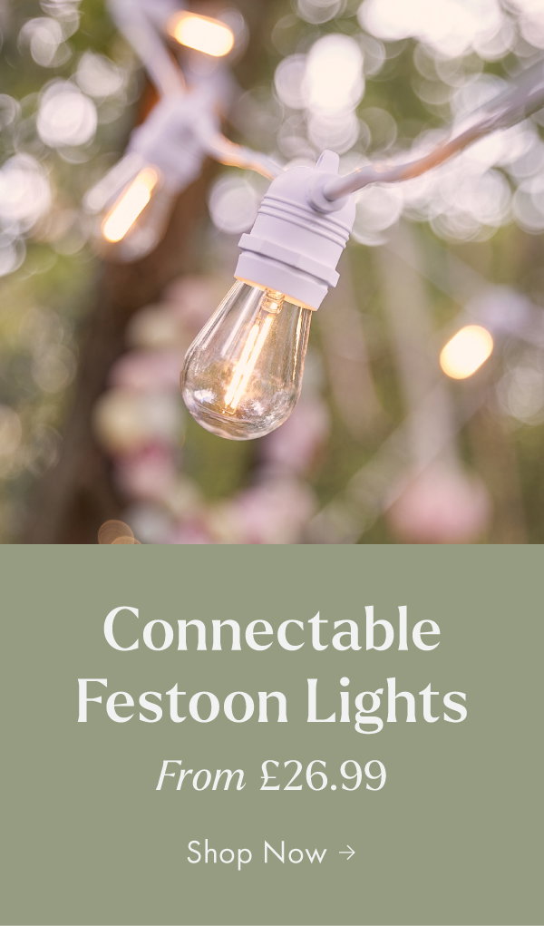 Connectable festoon lights