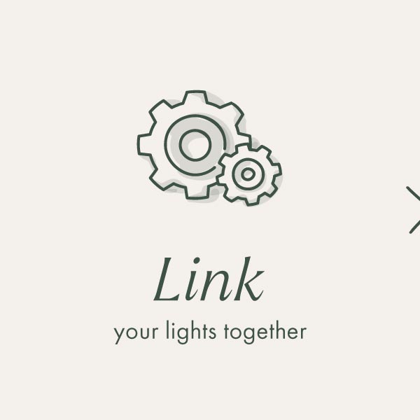 Link