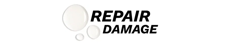 Our Favourites to Repair Damage