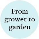 From grower to garden