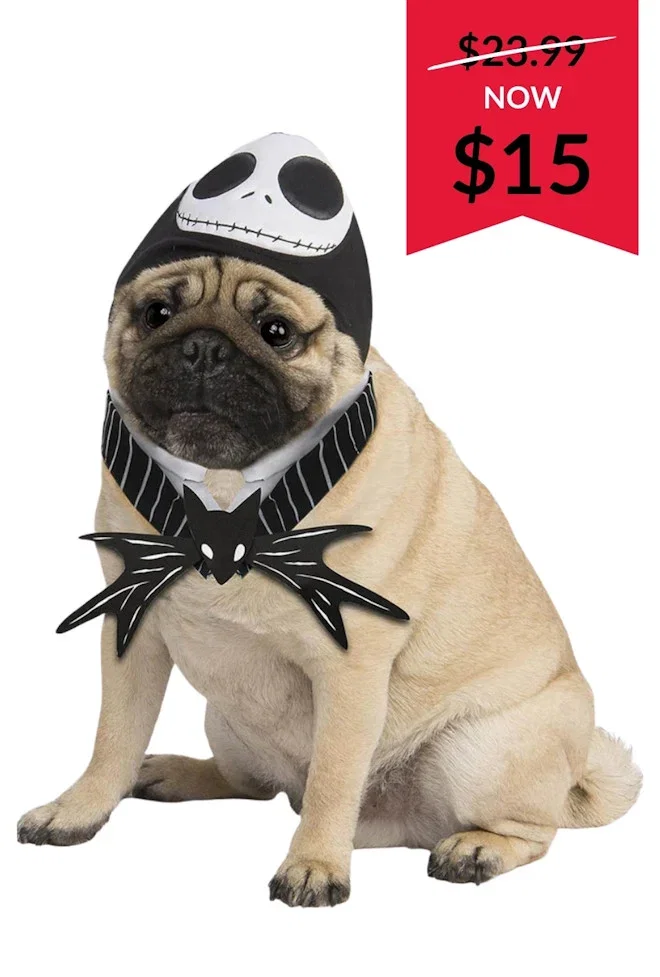 The Nightmare Before Christmas Jack Skellington Pet Hat and Collar Set