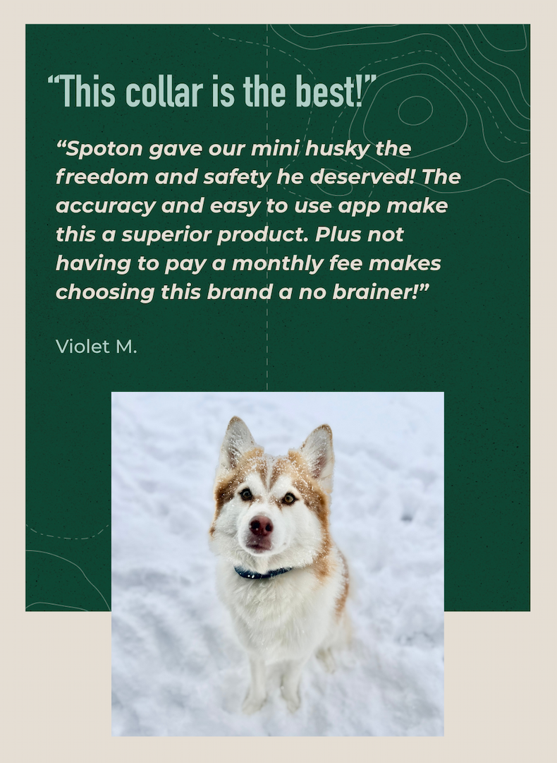 "This collar is the best! SpotOn gave our mini husky the freedom and safety he deserved!" - Violet M