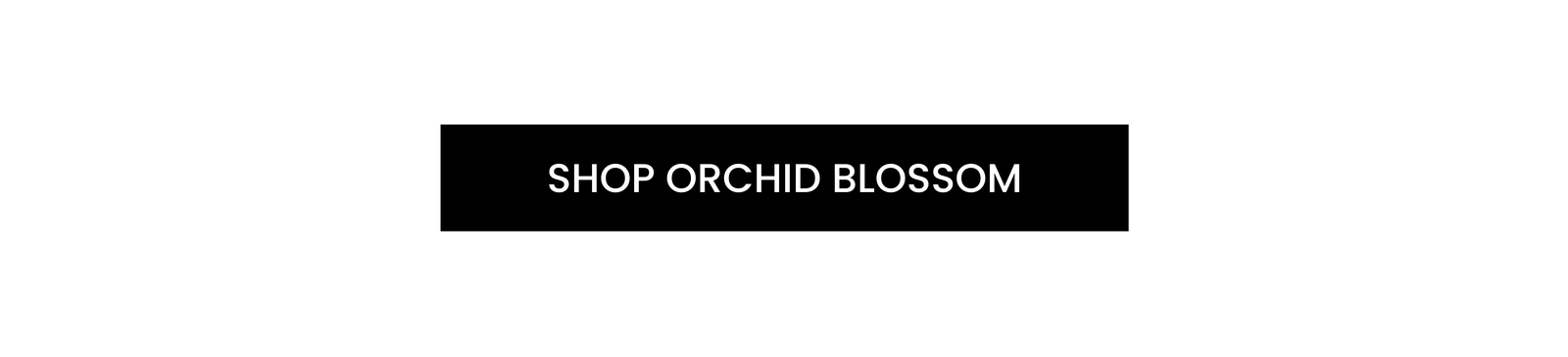 [Shop Orchid Blossom]