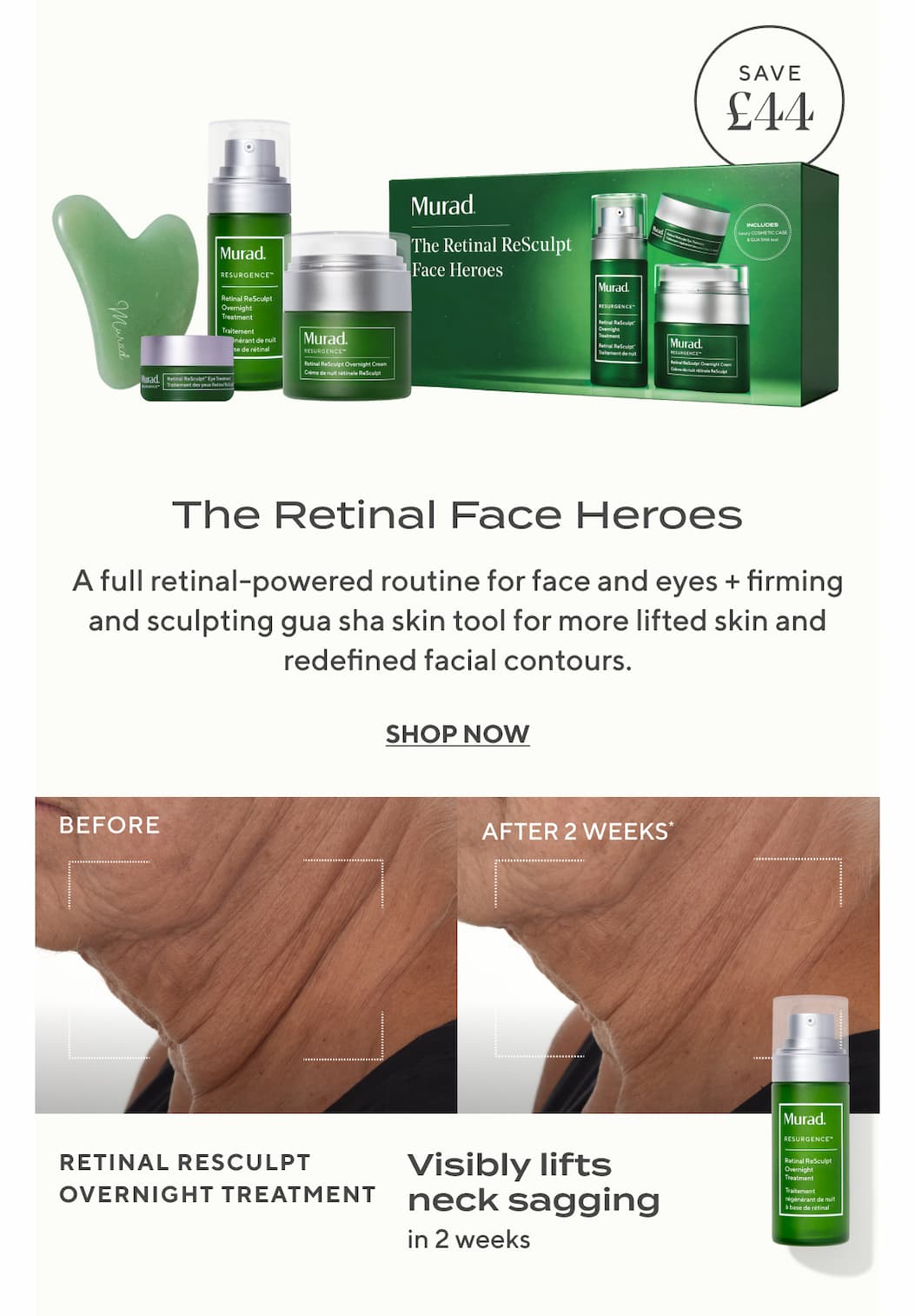 The Retinal Face Heroes