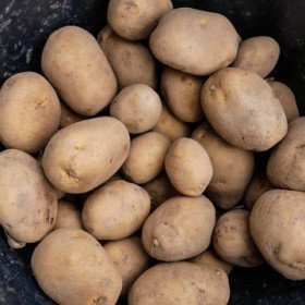 Ziemniak Tonacja podobna do odmiany Denar 1kg