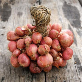 Cebula Dymka Szalotka Red Sun Czosnek Askaloński Delikatny Smak 0,25 kg