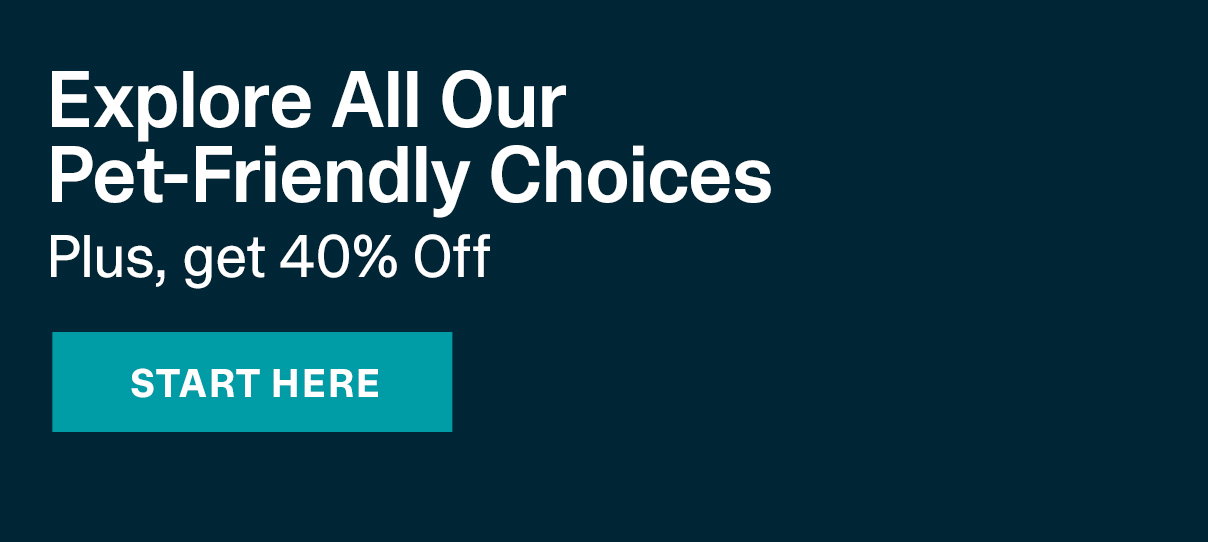 Explore All Our Pet-Friendly Choices | START HERE >>