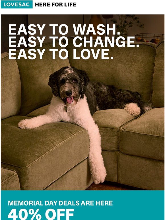 Here for Muddy Paws, Shedding Season, and 40% Off.