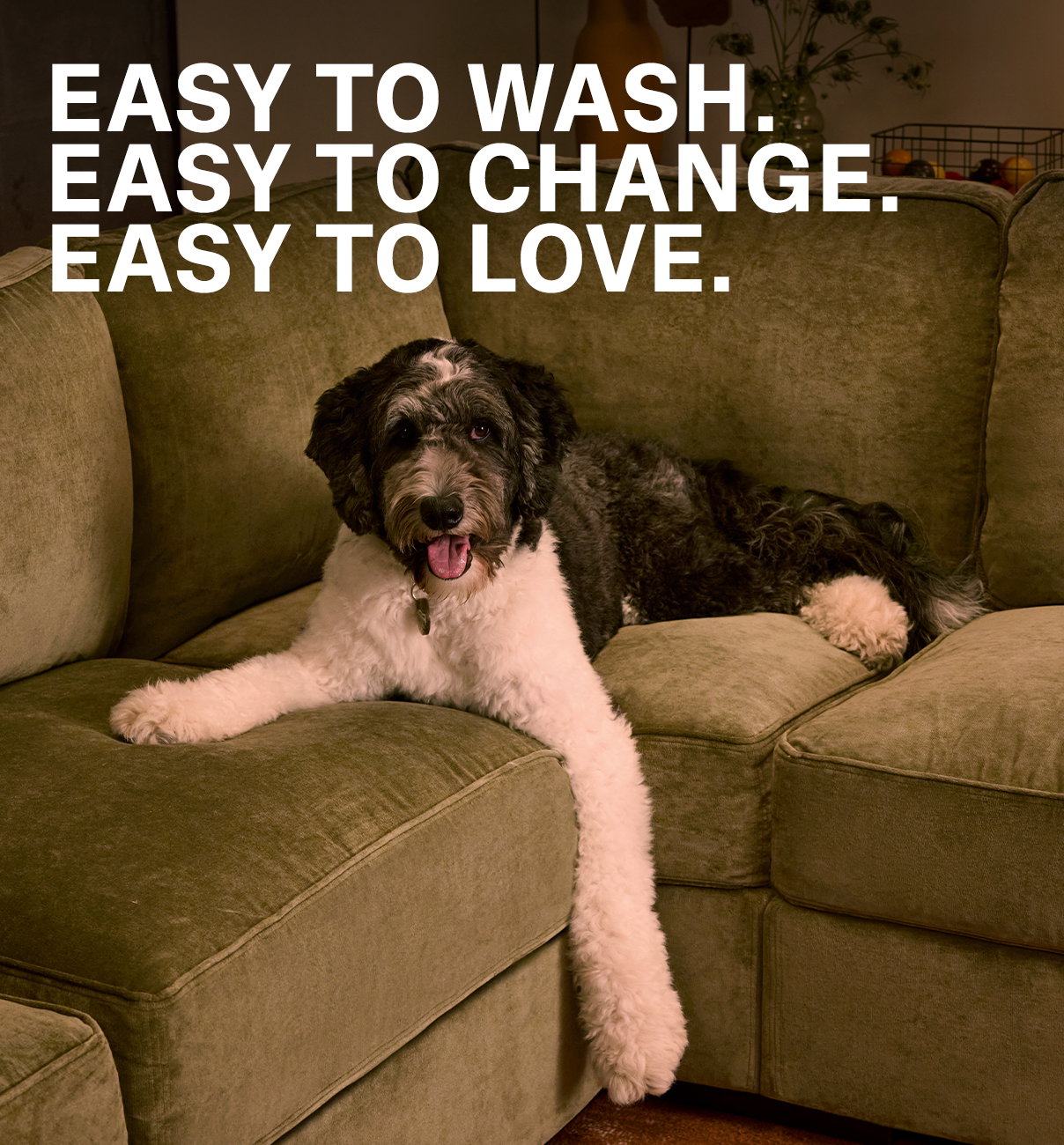 Easy to Wash. Easy to Change. Easy to Love