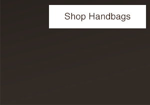 SHOP HANDBAGS