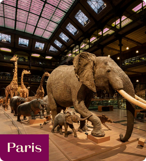 The National Museum of Natural History