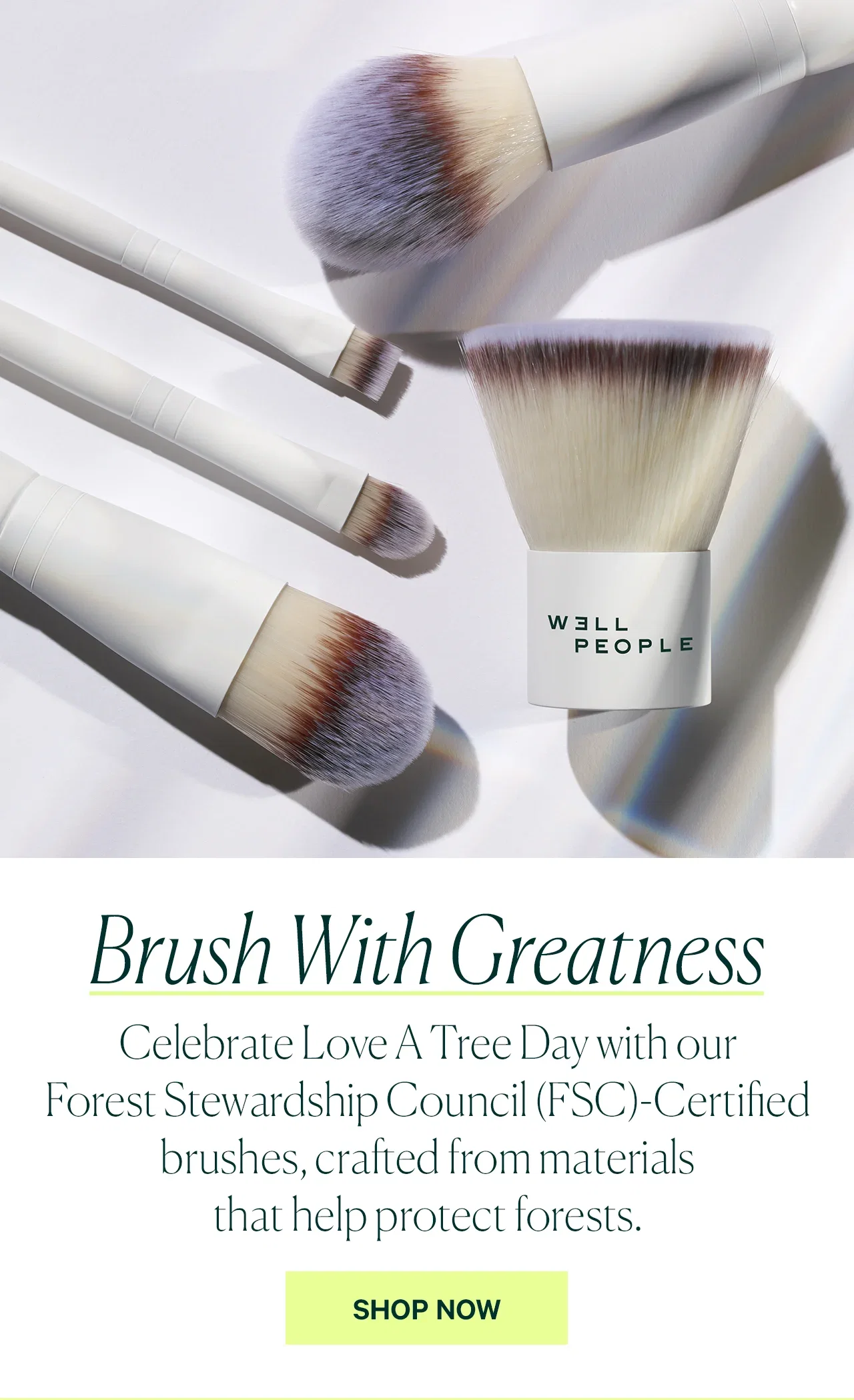 Brush With Greatness Celebrate Love A Tree Day with our Forest Stewardship Council (FSC)-Certified brushes, crafted from materials that help protect forests. SHOP NOW