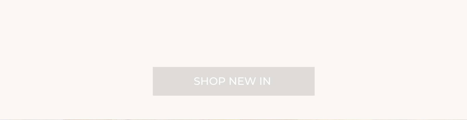 shop new in 