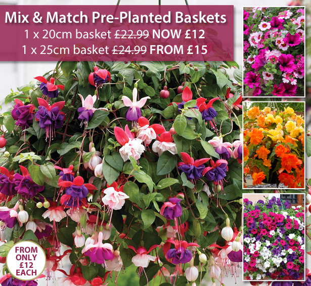 Mix & Match Baskets