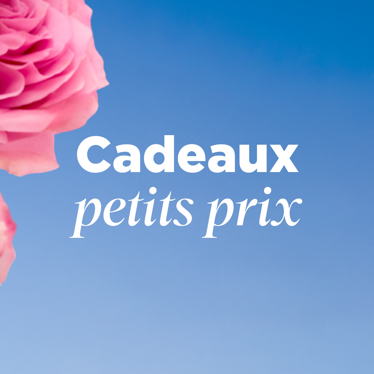 Cadeaux petits prix