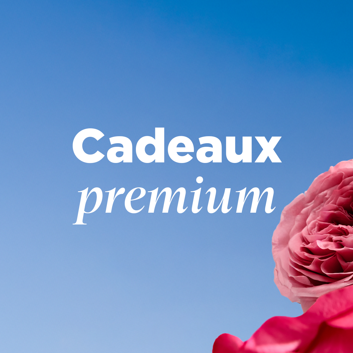 Cadeaux premium