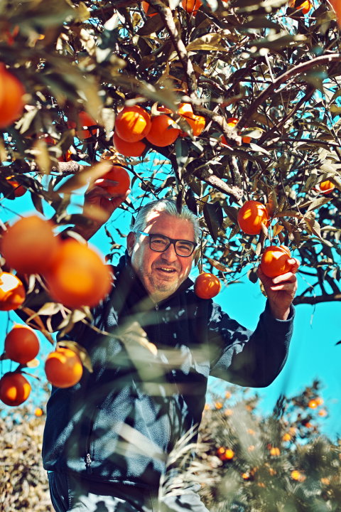 Bild Massimo Maggio