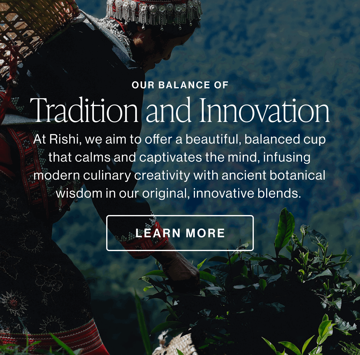 Our Balance of Tradition and Innovation | LEARN MORE