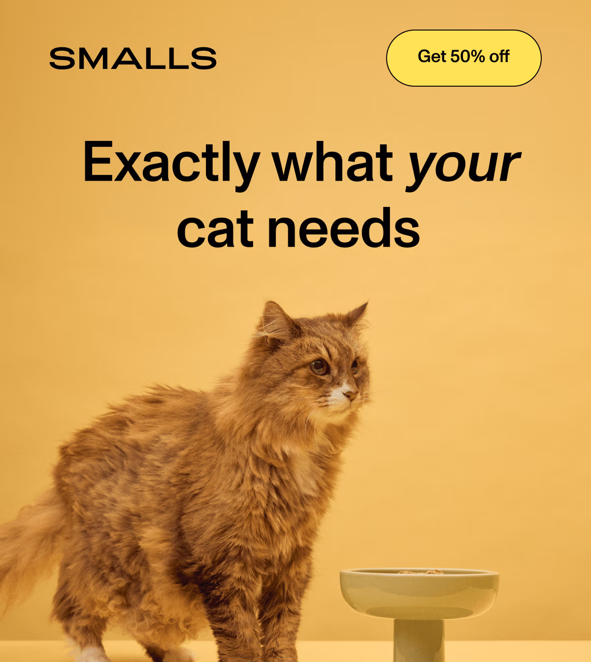 SMALLS: Exactly what your cat needs. A fluffy long-haired ginger cat standing next to a modern elevated food bowl against a solid yellow background. Button: Get 50% off