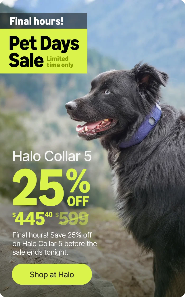 The clock is almost up on the Pet Days Sale. Halo Collar 5 is $445 and this is your very last chance to lock in 25% off before the deal closes tonight.