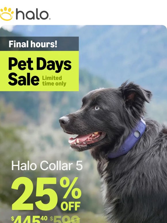 Final hours: 25% off ends tonight