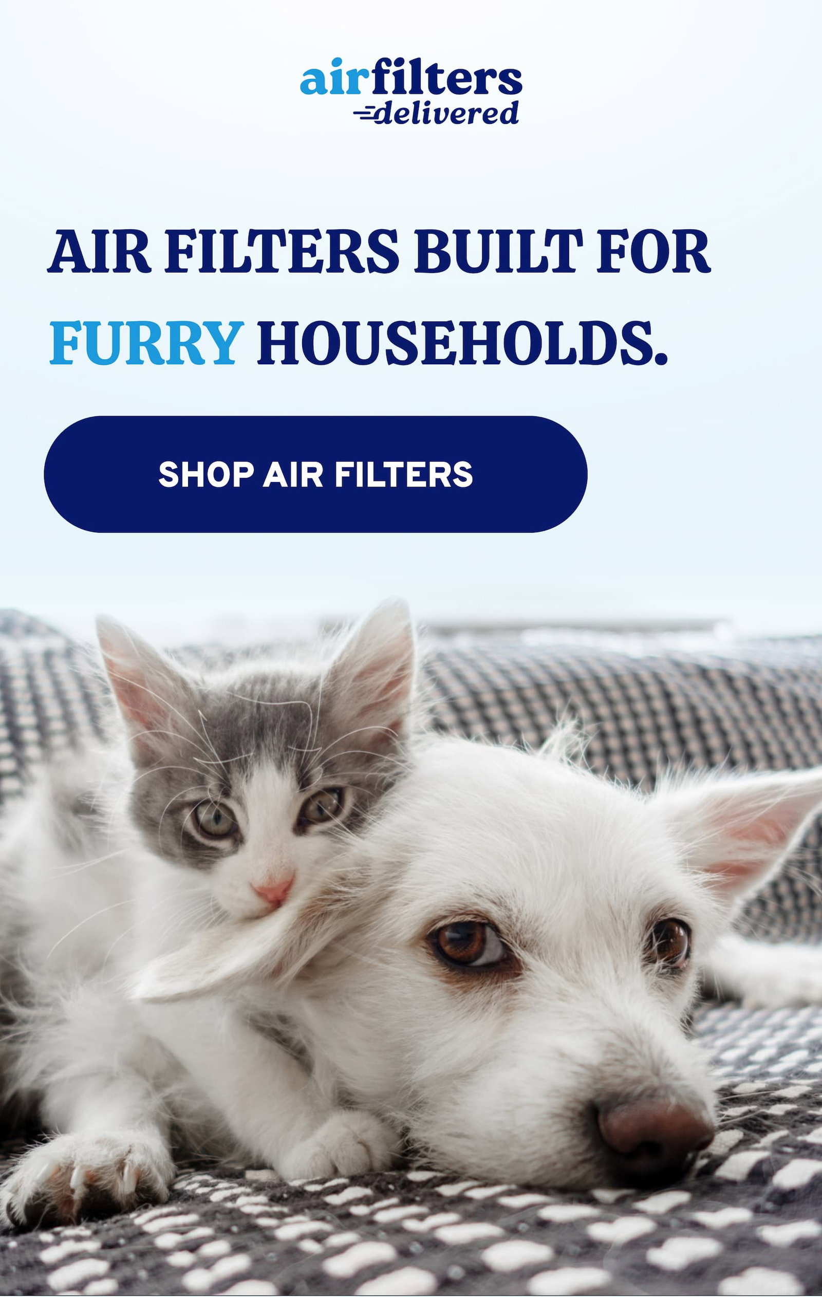Air Filters Built for Furry Households