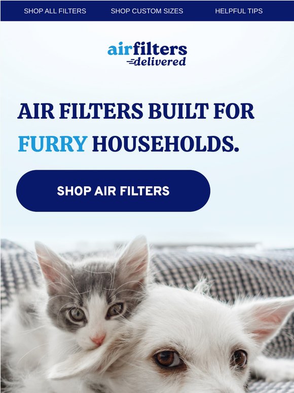 Own a Pet? Your Air Might Need a Refresh