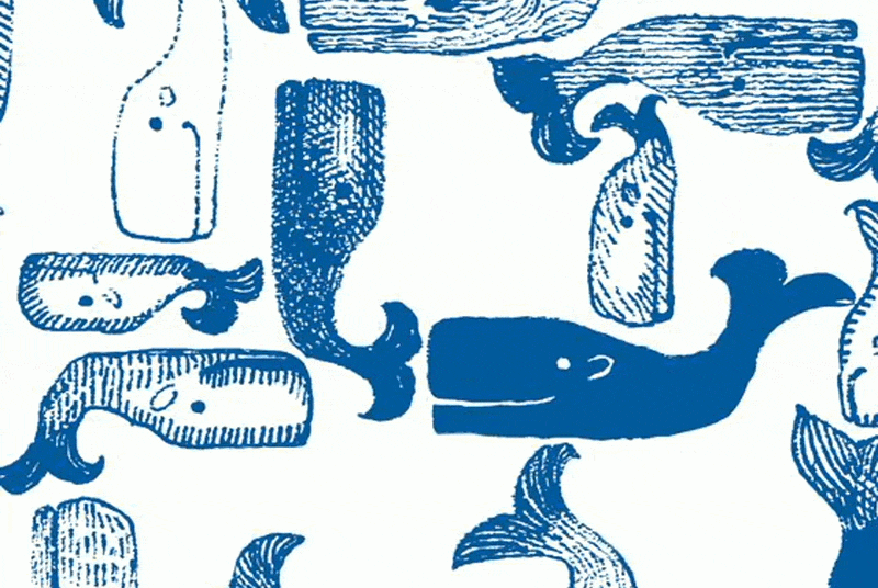 Print: Thar She Blows