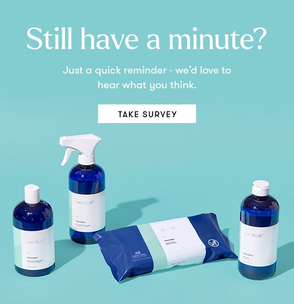 Capri Blue Survey