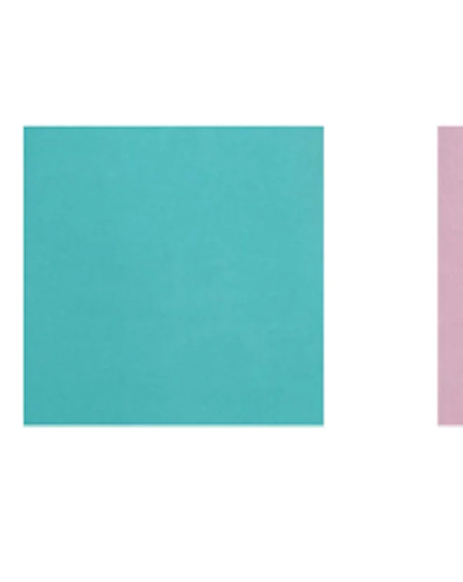 Camber II Womens Fleece - Teal