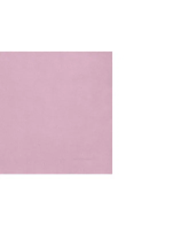 Camber II Womens Fleece - Light Pink