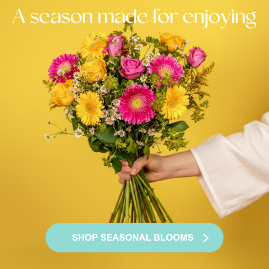 SEASON'S