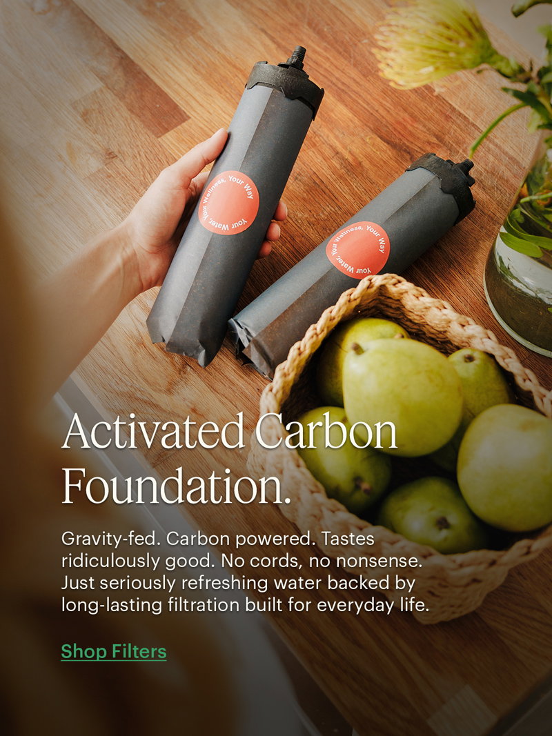 Activated Carbon Foundation | Shop Filters