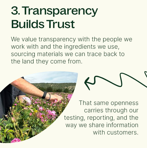 The Fundamentals of Non-Toxic Living