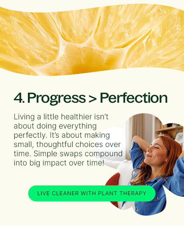 The Fundamentals of Non-Toxic Living