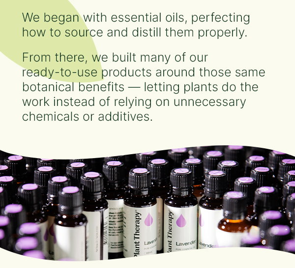 The Fundamentals of Non-Toxic Living